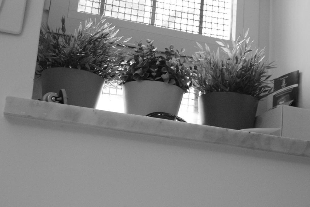 Apartment Nonna Raffa